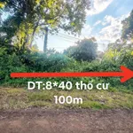 Bán đất mặt tiền 8×40m 800 triệu Gia Nghĩa, Lâm Đồng - Ảnh thu nhỏ 1