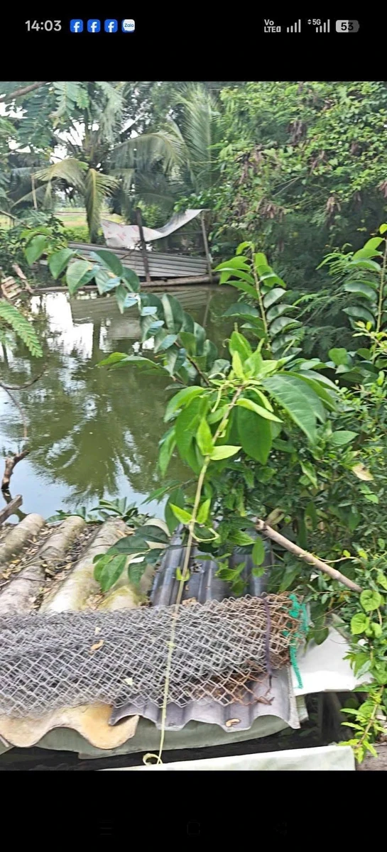 Bán lô đất 130 m² xã Long Hòa Cần Đước Long An - Ảnh thu nhỏ 2
