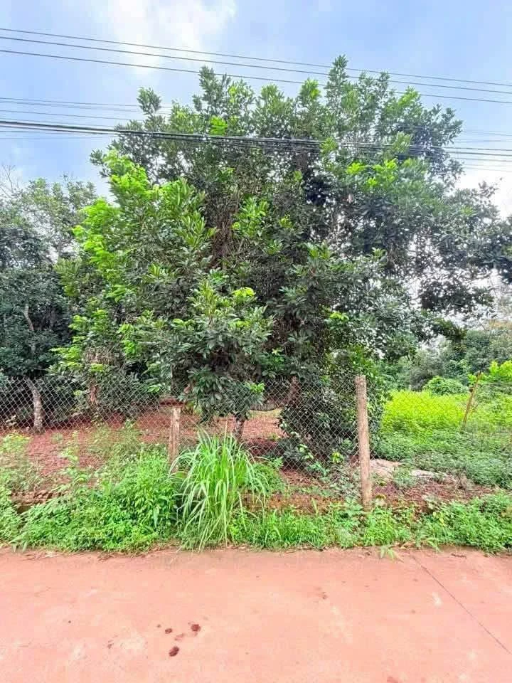 Bán đất 166m² full thổ cư Bảo Vinh 1 tỷ 170 - Ảnh thu nhỏ 2