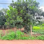 Bán đất 166m² full thổ cư Bảo Vinh 1 tỷ 170 - Ảnh thu nhỏ 2