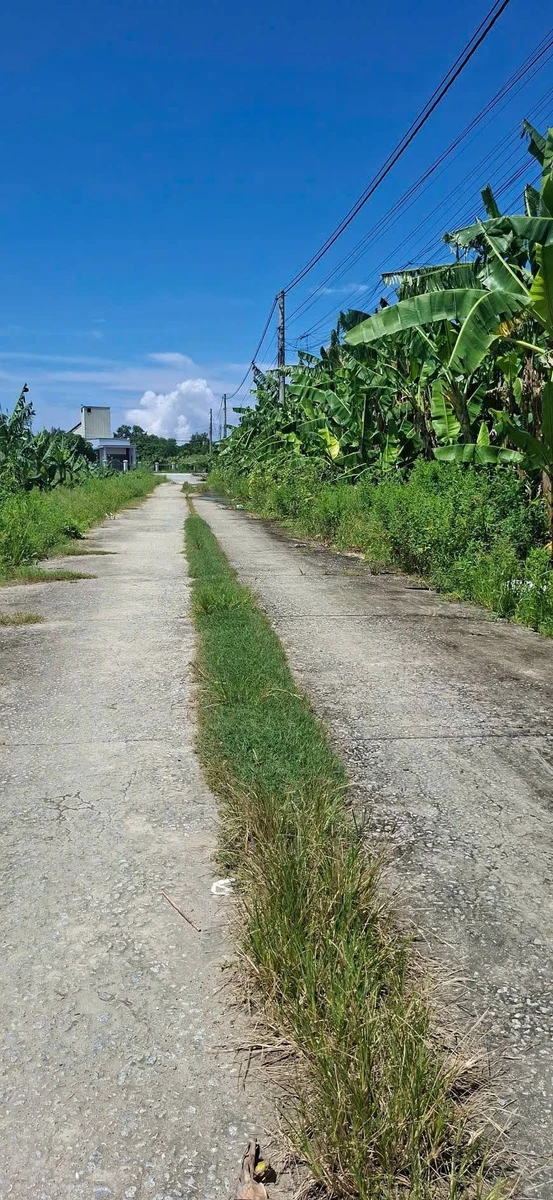 Bán nền đất 100m² Võ Trường Toản Rạch Giá 500 triệu - Ảnh thu nhỏ 2