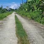 Bán nền đất 100m² Võ Trường Toản Rạch Giá 500 triệu - Ảnh thu nhỏ 2
