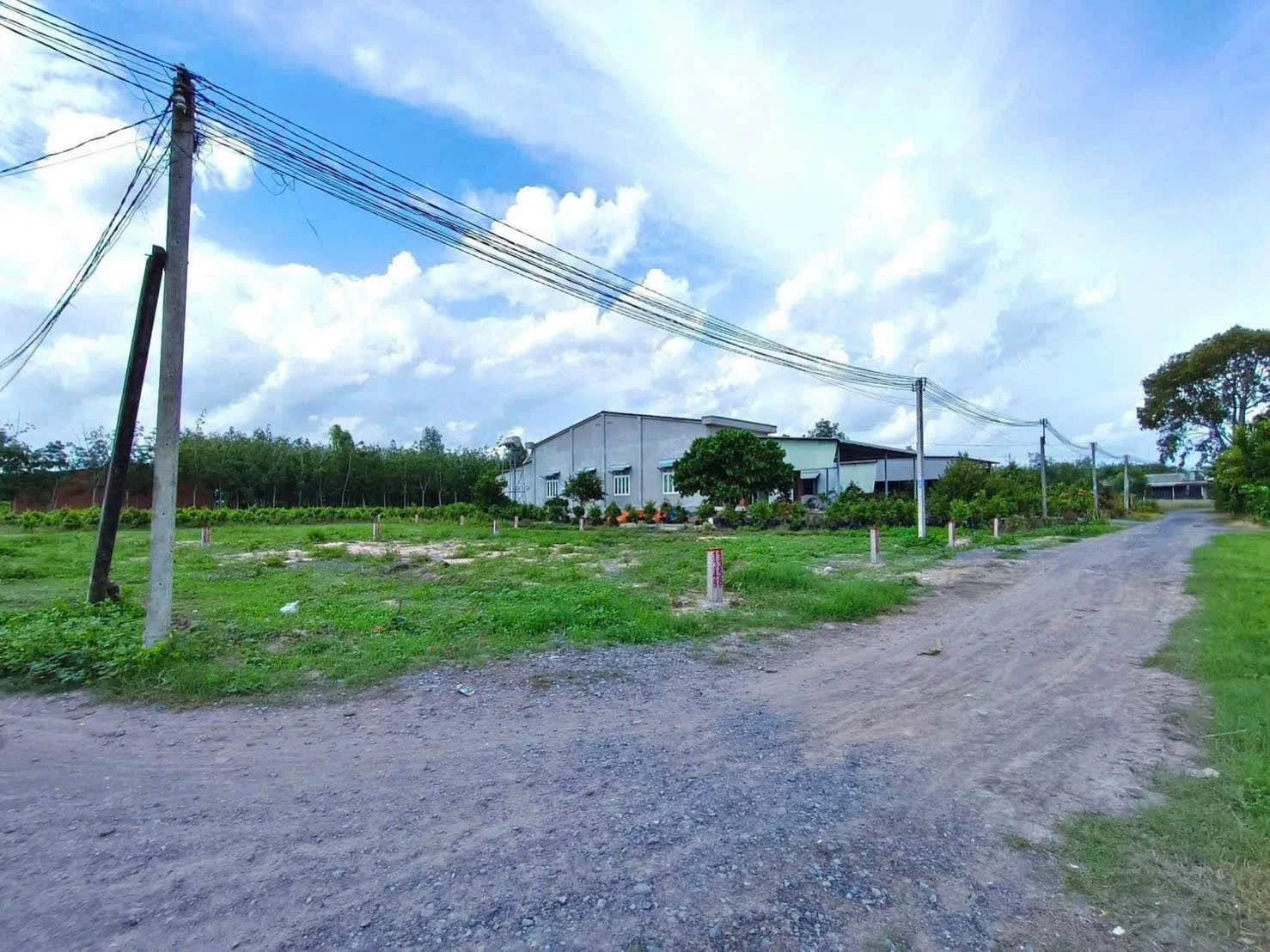 Bán đất sổ riêng 90m² sát KCN Thạnh Đức Tây Ninh - Ảnh 1