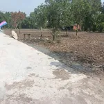 Bán đất thổ cư sổ riêng 5x28m Tân Trụ 419 triệu - Ảnh thu nhỏ 4