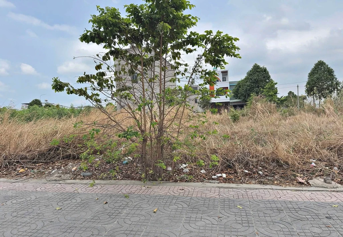 Bán đất mặt tiền Võ Thị Sáu 100m² Tân Phú, 3 tỷ - Ảnh thu nhỏ 3