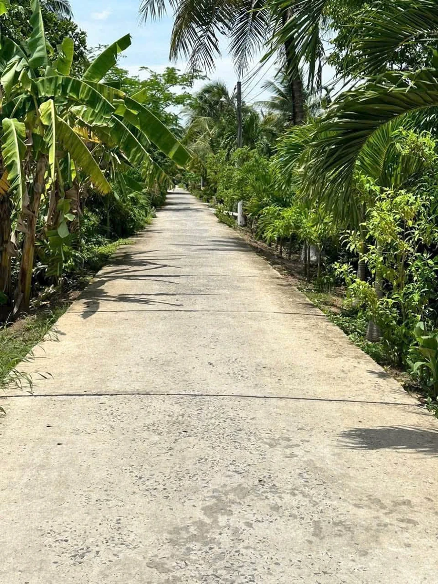 Bán đất vườn dừa 1160m² Phú Tân Cần Giờ 1 tỷ 700 triệu - Ảnh thu nhỏ 5