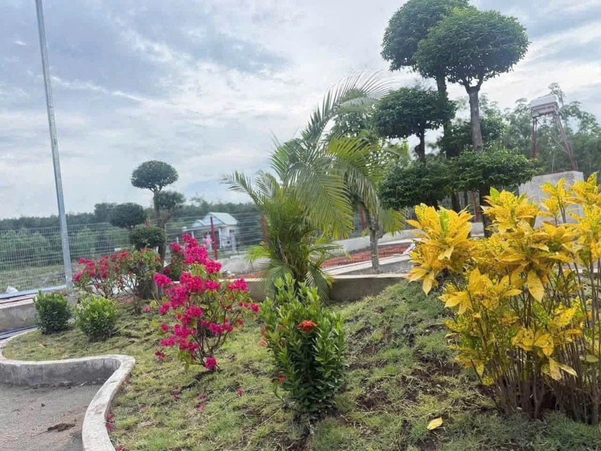 Bán đất vườn 1.800m² Phú Giáo 3 tỷ 490 triệu - Ảnh thu nhỏ 3
