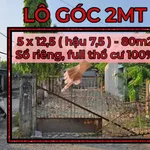 Bán đất sổ riêng thổ cư Tân Triều 78m2, gần KDC Tân Phong - Ảnh thu nhỏ 1