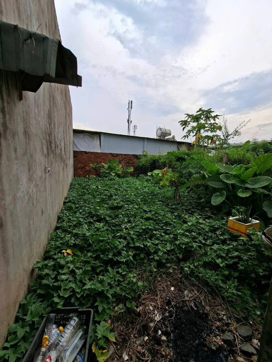 Bán nhà ngang 5m dài 25m (125m2) giá 1,1 tỷ tại Tân Triều, Đồng Nai - Ảnh thu nhỏ 3