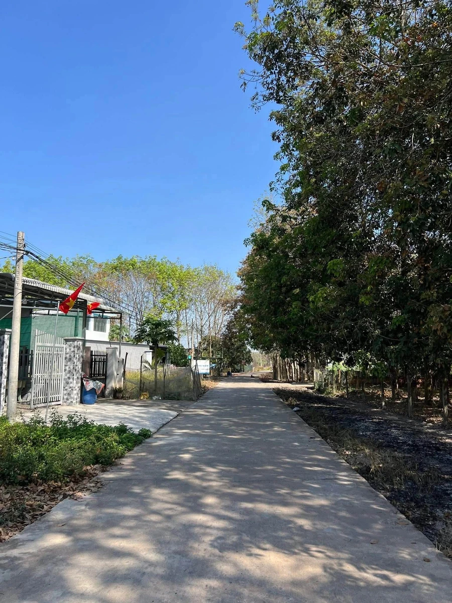 Bán đất 255m² Cao Bá Quát, Chơn Thành, Bình Phước, 5 tỷ - Ảnh 1