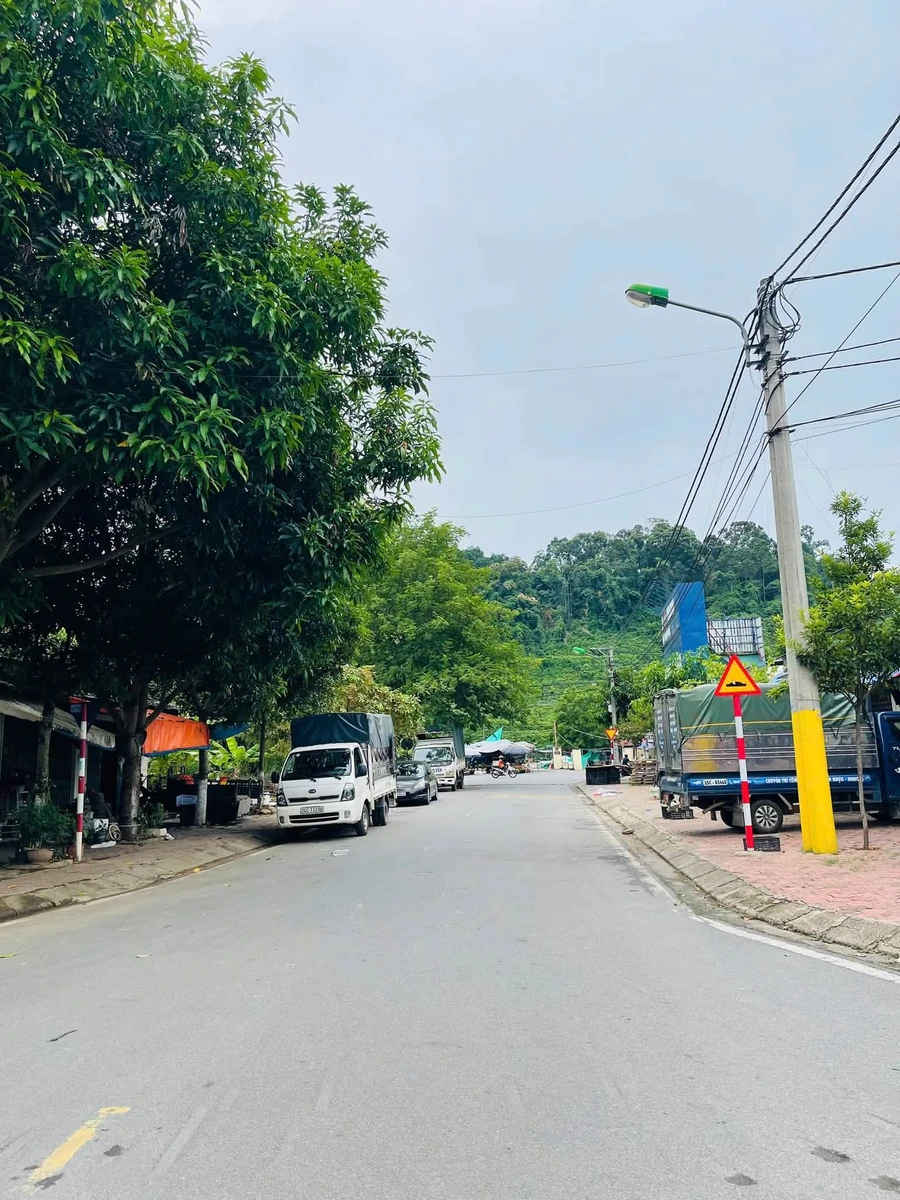 Bán lô đất Trần Thị Lan 100m2, 2 tỷ 650, Quận 12 - Ảnh thu nhỏ 2
