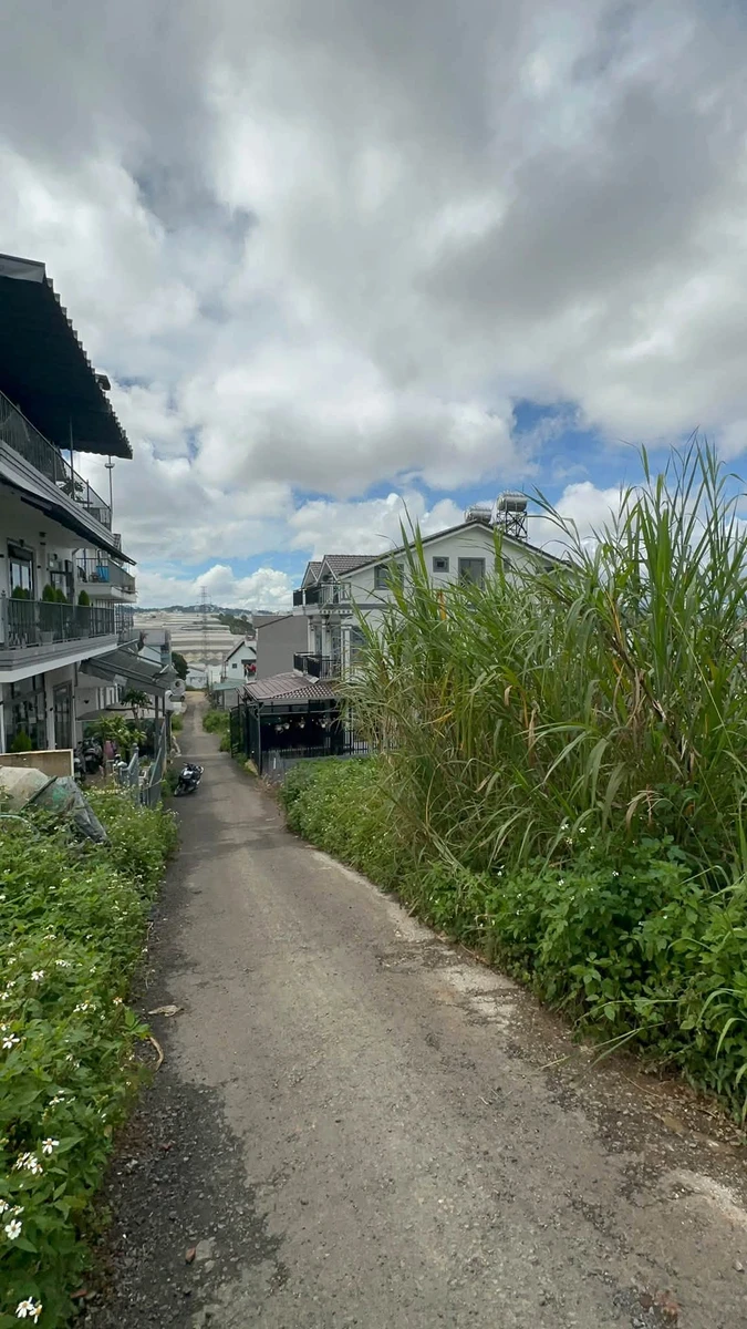 Bán đất biệt thự 200m2 view thoáng khu Thái Phiên Đà Lạt 5 tỷ - Ảnh thu nhỏ 3