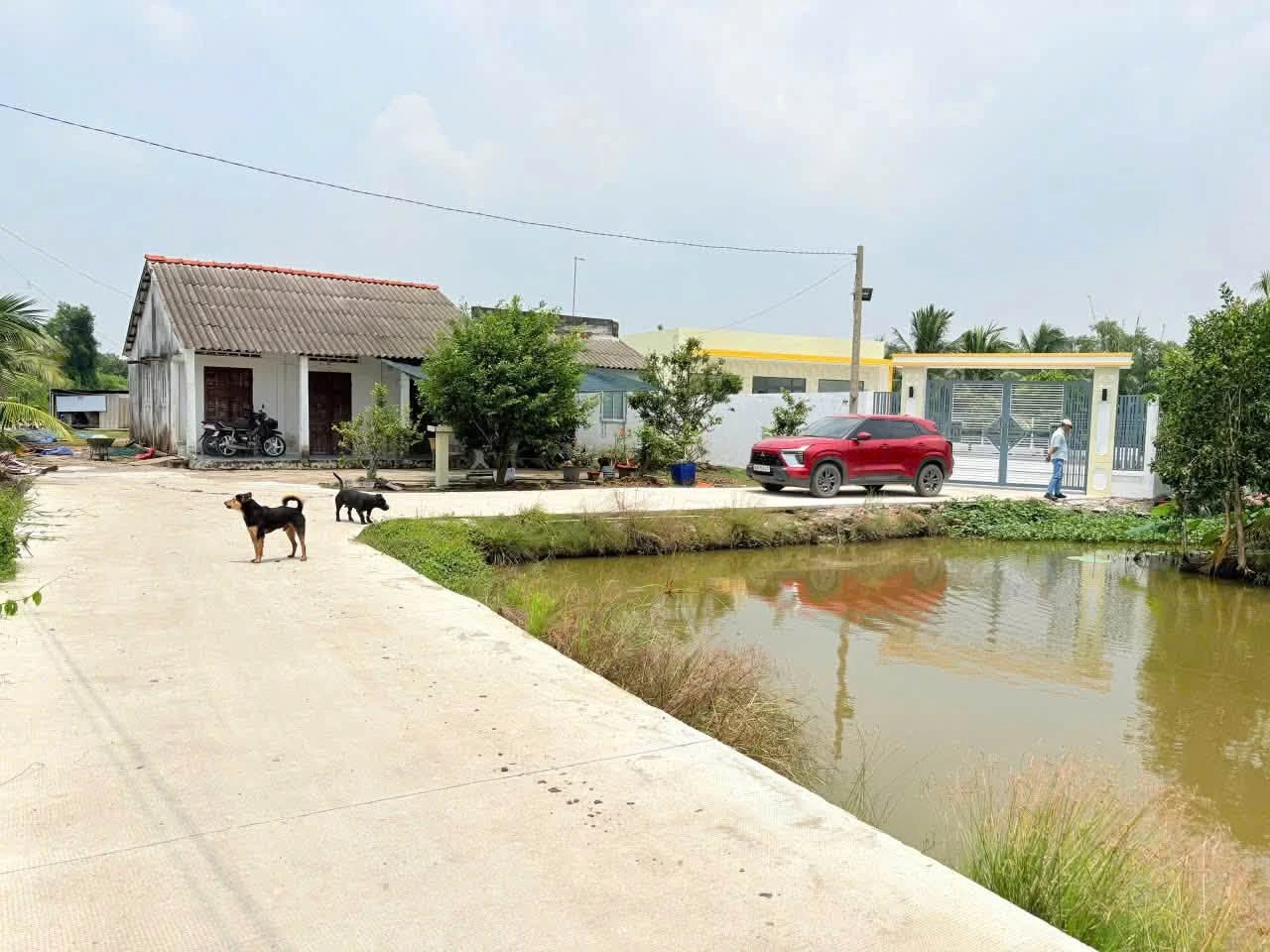 Bán nhà vườn 1068m2 full thổ cư, 3PN, giá 3,5 tỷ tại Nhựt Chánh, Bến Lức, Long An - Ảnh 1