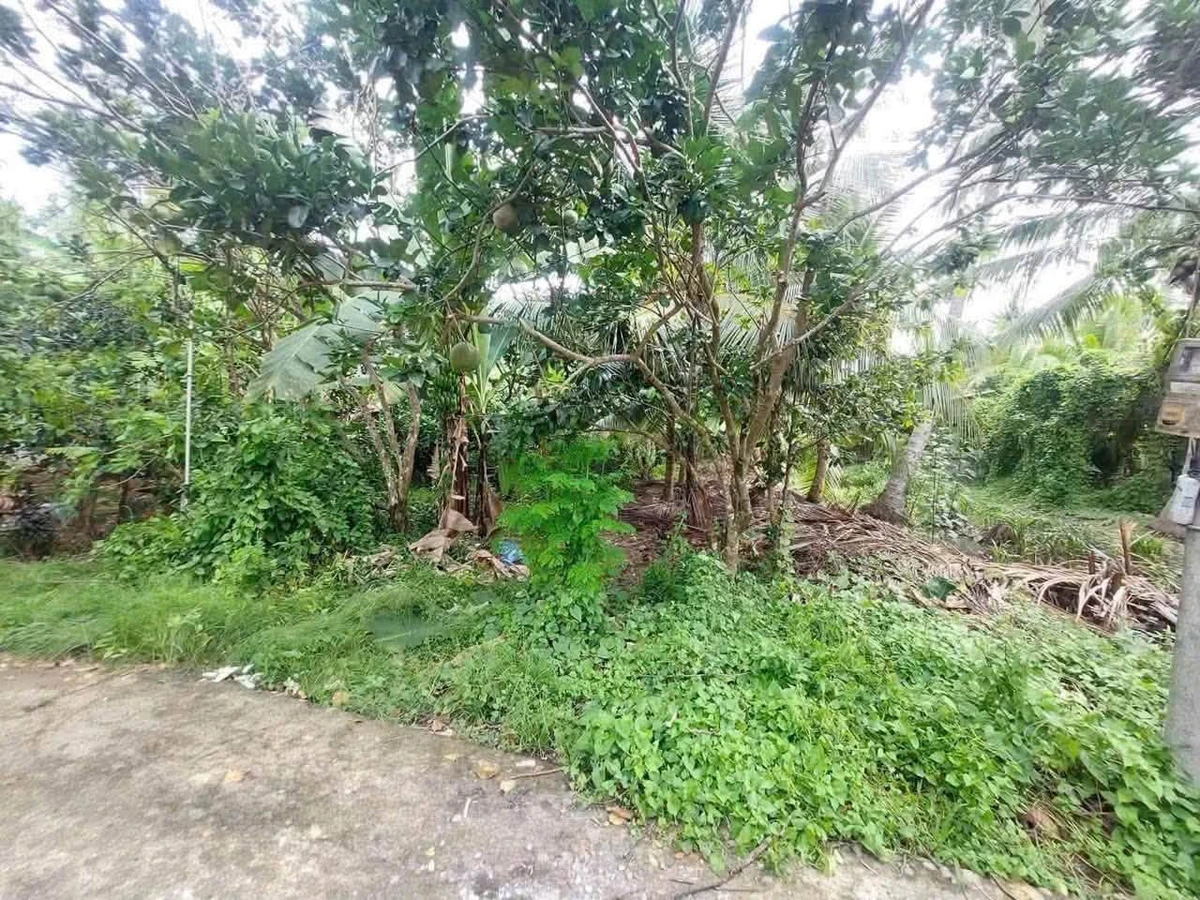 Bán đất nền biệt thự 400m2 có 70m2 thổ cư tại xã Phú Nhuận, TP Bến Tre - Ảnh thu nhỏ 2