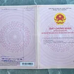 499tr - Quá đẹp - Kế bên 2 trường học Phước Hòa 5x35m full thổ cư - Ảnh thu nhỏ 11