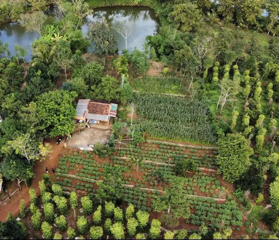 Bán đất vườn sinh thái Ea Kao 3.866m² giá 8 tỷ - Ảnh thu nhỏ 4