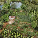 Bán đất vườn sinh thái Ea Kao 3.866m² giá 8 tỷ - Ảnh thu nhỏ 4