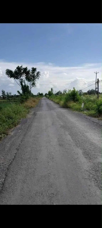 Bán đất mặt tiền 203×480m Xã Thuận Bình, Long An