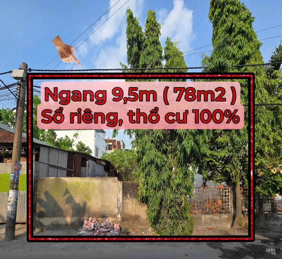 Bán đất sổ riêng thổ cư Tân Triều 78m2, gần KDC Tân Phong - Ảnh thu nhỏ 2