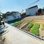 Bán lô đất 41.1m2 Phấn Dũng Hải Phòng 1.3 tỷ - Ảnh thu nhỏ 3