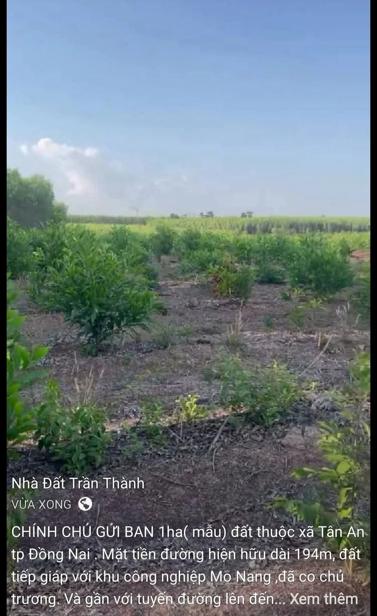 Bán đất 1ha mặt tiền 194m Tân An Đồng Nai - Ảnh 1