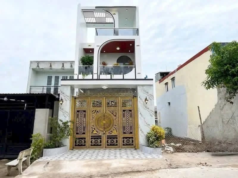 Bán nhà 3 phòng ngủ 100m2 Mỹ Hạnh Nam, Đức Hòa - Ảnh 1