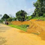 Bán đất 358m² view cánh đồng Kim Bôi Hòa Bình - Ảnh thu nhỏ 4