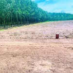 Bán đất 50m² giá 250 triệu Chùm Dừa Châu Thành Tây Ninh - Ảnh thu nhỏ 2