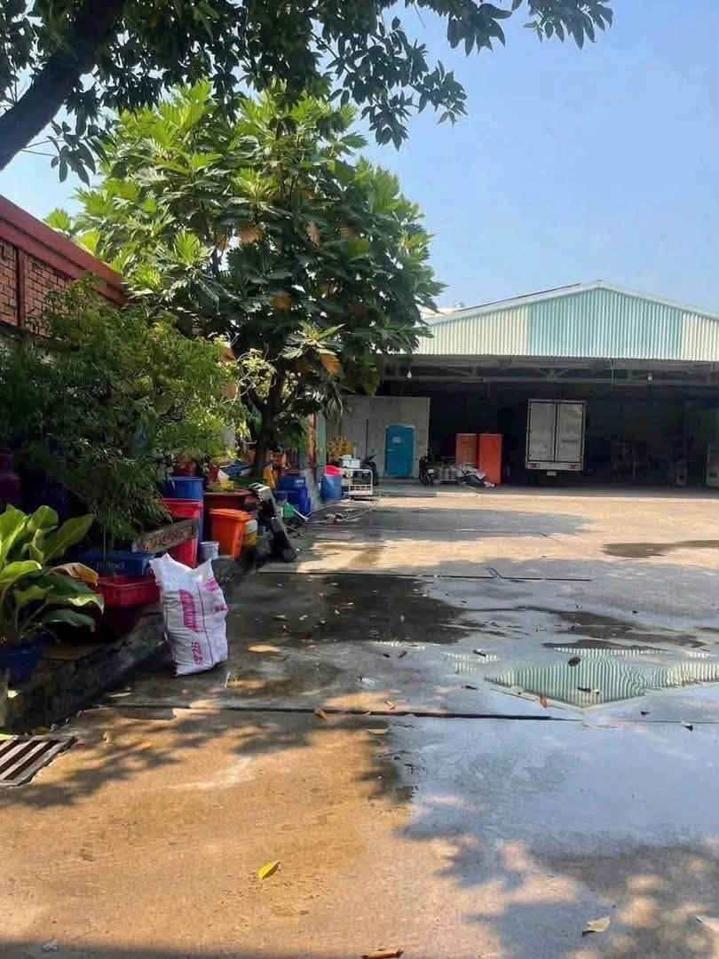 Bán xưởng 1800m² mặt tiền Nguyễn Thị Minh Khai Quận 12 - Ảnh thu nhỏ 5