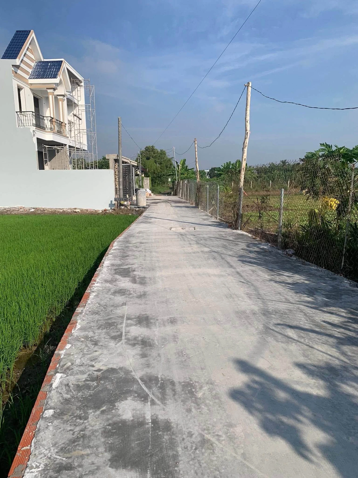 Bán đất Phước Lý 500m² (14x37) mặt tiền đường 5m - Ảnh 1