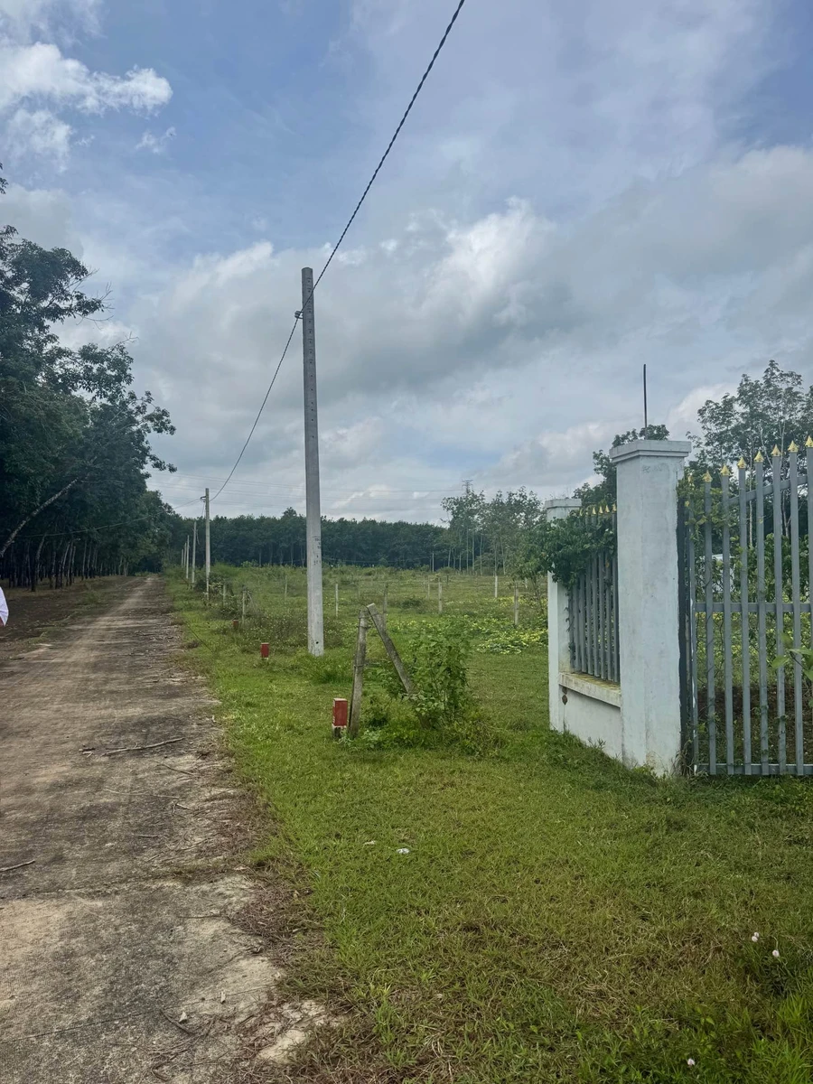 Bán đất 1000m² có nhà cấp 4 tại Bình Phước 390 triệu - Ảnh 1