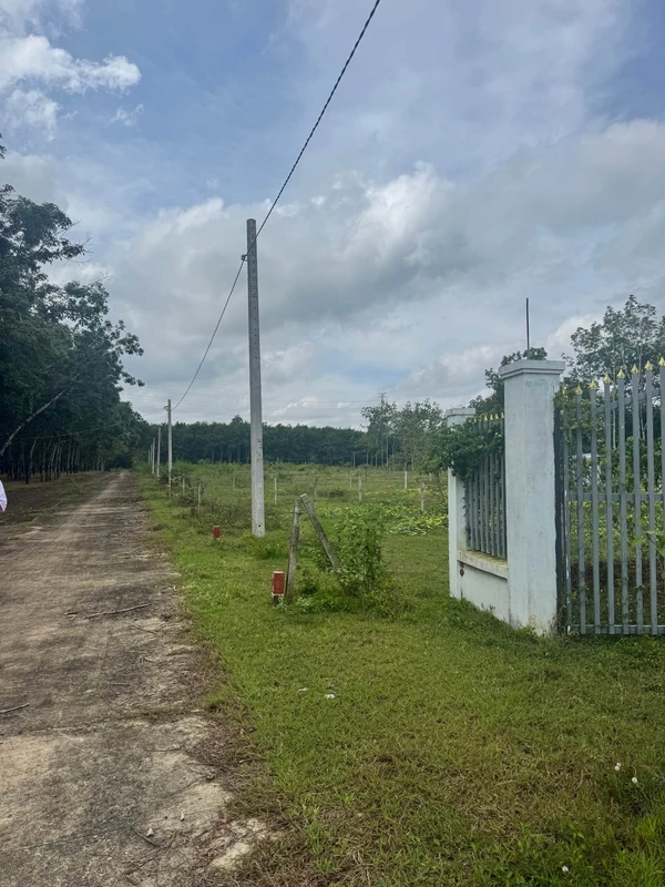 Bán đất 1000m² có nhà cấp 4 tại Bình Phước 390 triệu