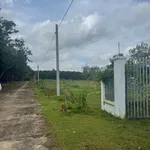 Bán đất 1000m² có nhà cấp 4 tại Bình Phước 390 triệu - Ảnh thu nhỏ 1