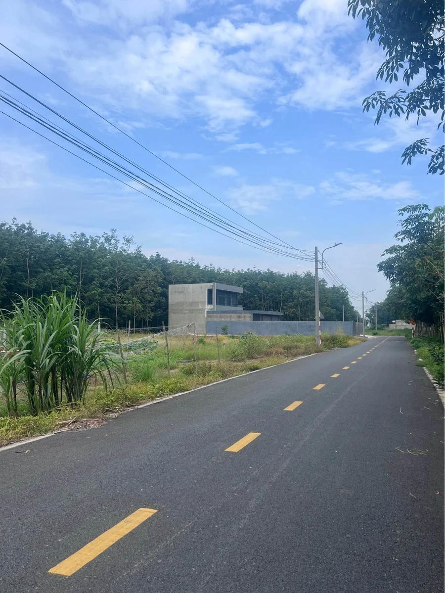 Bán đất nền 5x20 (100m²) 990 triệu Phường Hoà Lợi - Ảnh thu nhỏ 2
