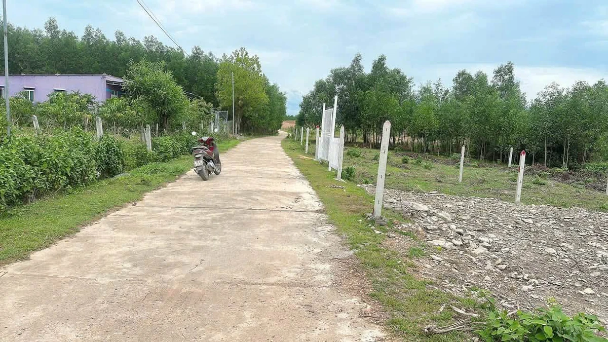 Bán lô đất Khánh Bình 177m2 full thổ cư 190 triệu - Ảnh thu nhỏ 3
