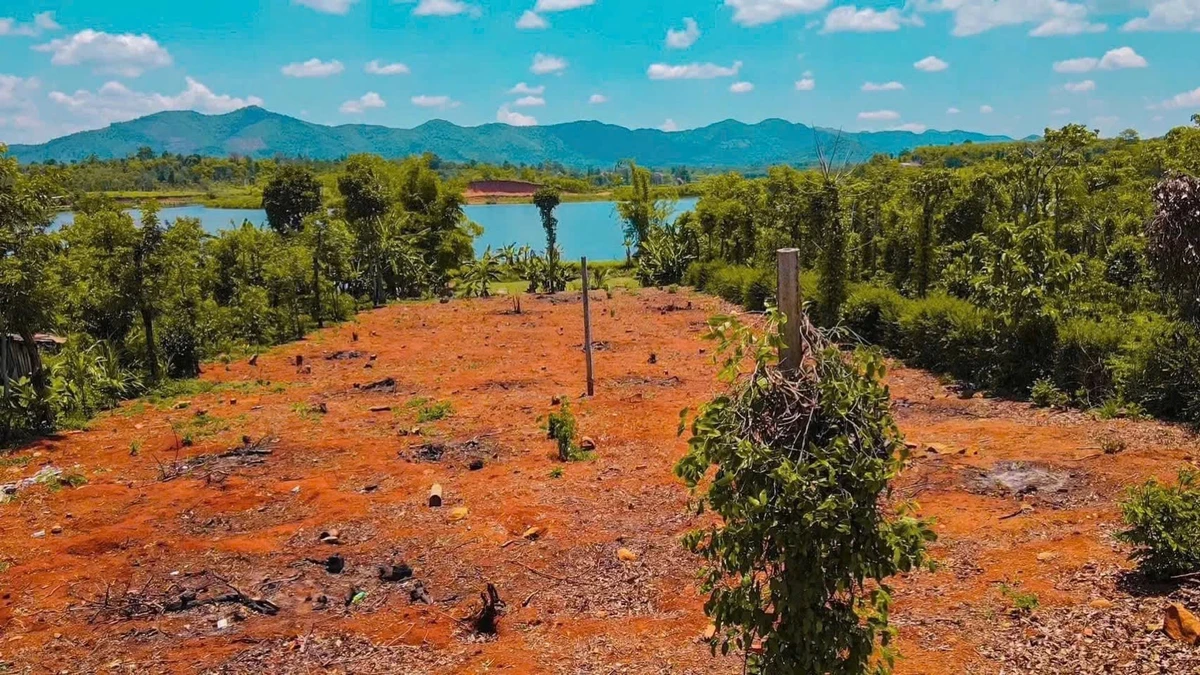 Bán đất 2000m² tại Xã Ea Ning, Đắk Lắk, giá 1,5 tỷ - Ảnh thu nhỏ 3