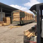 Bán nhà xưởng 8000m2 An Viễn Trảng Bom, 35 tỷ - Ảnh thu nhỏ 2