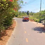 Bán đất Phước Hải Long Đất 1.413m² cách biển 3km - Ảnh thu nhỏ 1