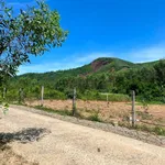 Bán đất vườn Diên Tân Diên Khánh 1.085m² gần Hồ Cây Sung - Ảnh thu nhỏ 3