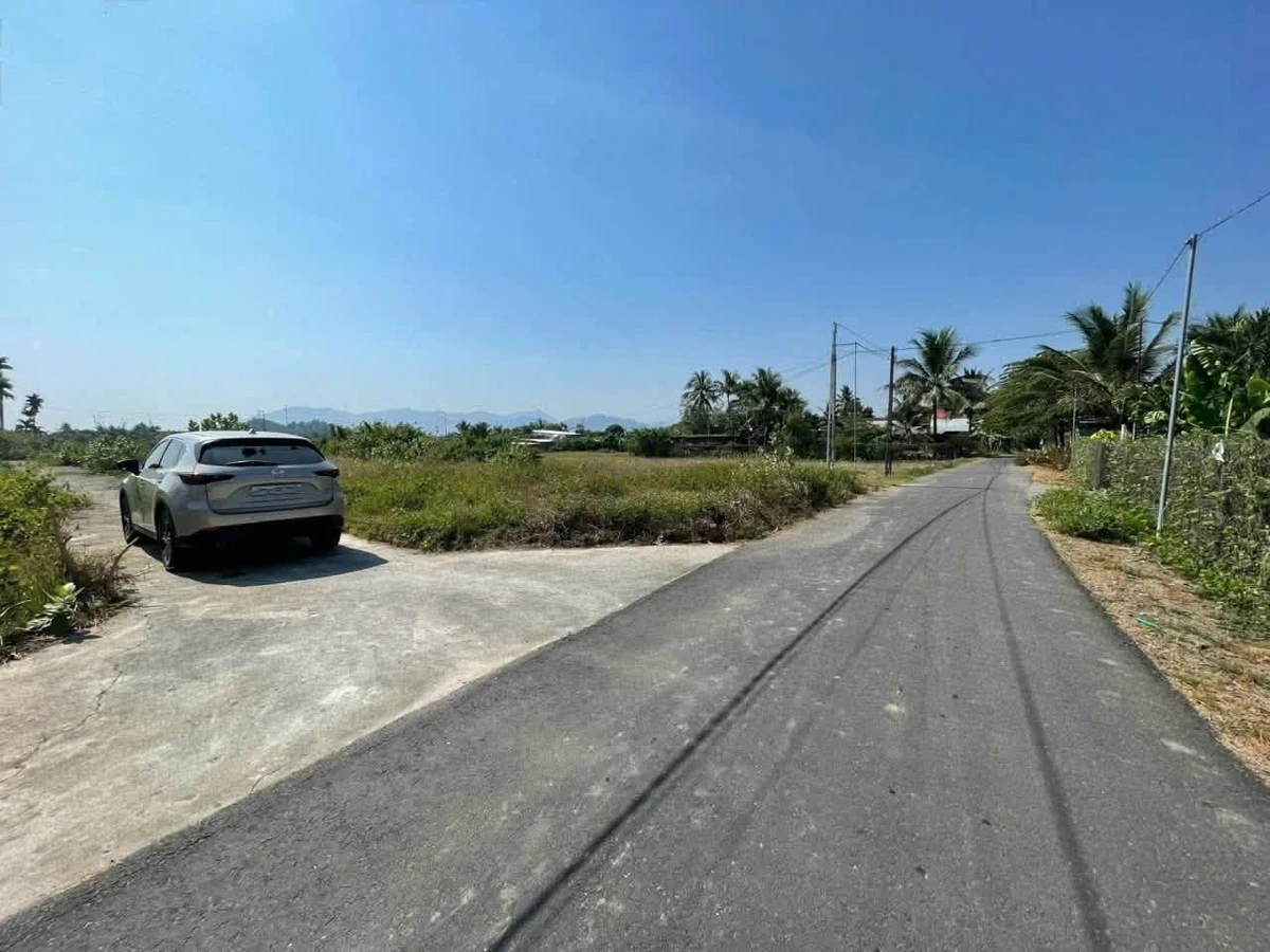 Bán lô đất 90m² Diên Phước Bình Chánh 599 triệu - Ảnh thu nhỏ 2