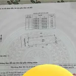Bán lô đất 60,7m2 kiệt ô tô tại Hòa Thọ Đông, Cẩm Lệ, Đà Nẵng giá 2,7 tỷ - Ảnh thu nhỏ 3