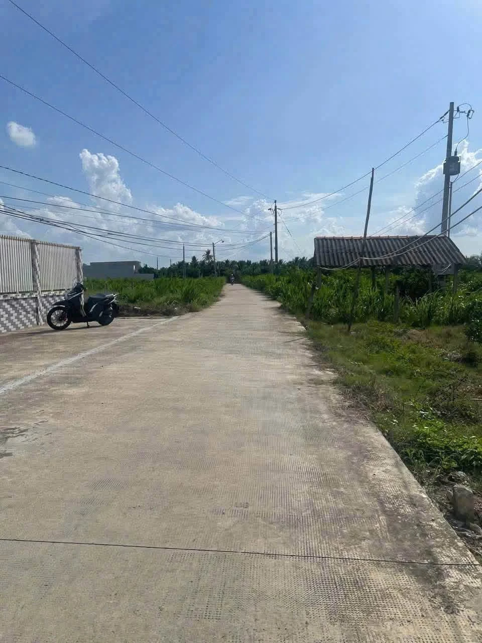 Bán đất 1.240m2 xã Vĩnh Công, Tây Ninh (Châu Thành, Long An cũ) giá 1 tỷ 500 triệu - Ảnh 1