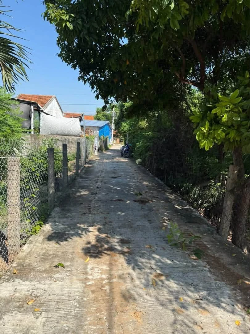 Bán đất Phú Hiệp 2, 60m2, 6 tỷ, Hòa Hiệp - Ảnh thu nhỏ 4