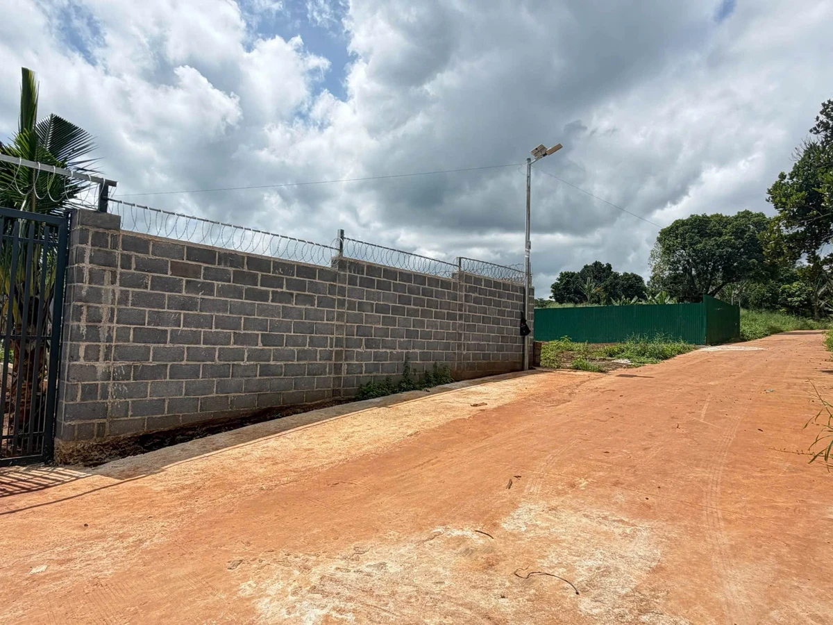 Bán đất 10x31 (310m²) đường 19/5 gần Đồi Thông 650 triệu - Ảnh thu nhỏ 3