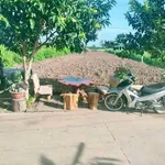Bán đất làm trang trại 3600 m² Gò Công Đông, Tiền Giang - Ảnh thu nhỏ 2