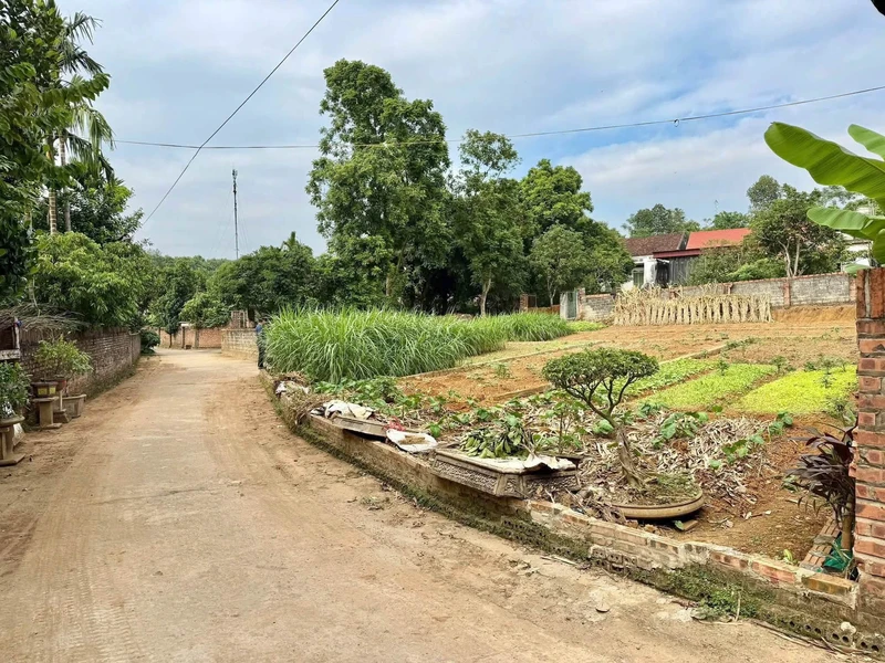 Bán đất 96,4m² full thổ cư Tam Nông Phú Thọ