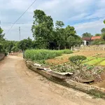 Bán đất 96,4m² full thổ cư Tam Nông Phú Thọ - Ảnh thu nhỏ 1