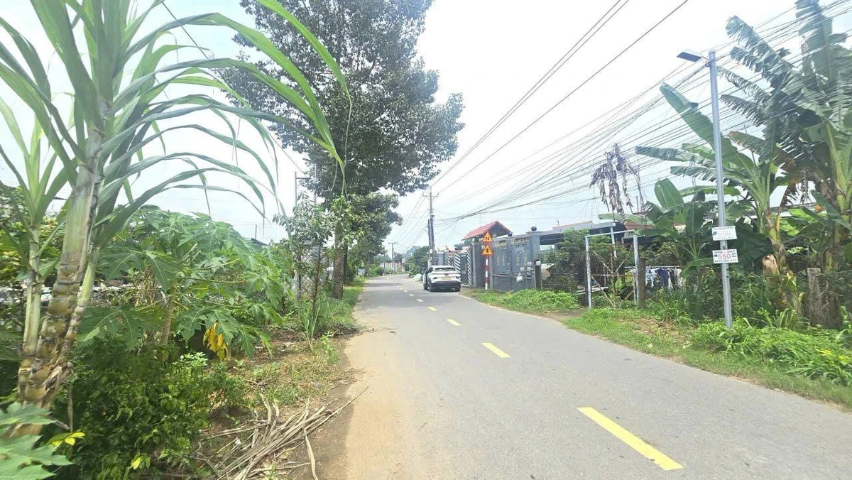 Bán vườn mai gần 2ha đất ONT, có ao cá, cây ăn trái tại Tân Triều, Đồng Nai - Ảnh thu nhỏ 2