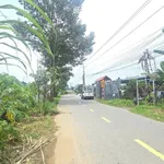 Bán vườn mai gần 2ha đất ONT, có ao cá, cây ăn trái tại Tân Triều, Đồng Nai - Ảnh thu nhỏ 2