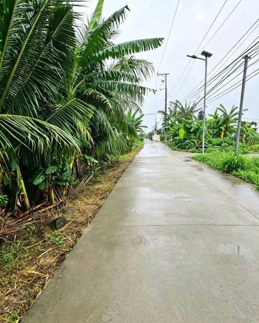 Bán đất 1500m2 hai mặt tiền Long An giá 750tr/1000m2 - Ảnh thu nhỏ 2